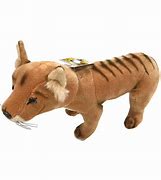 Image result for Thylacine Plush Toy