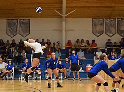 Image result for Hawk Talons around a Volleyball