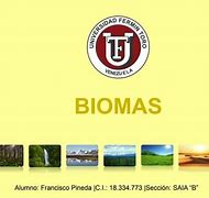 Image result for Ideas De Titulos De Los Biomas