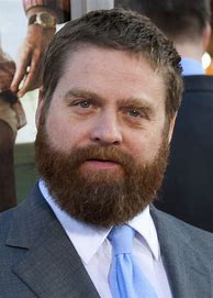 Image result for Zach Galifianakis