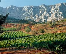 Image result for Cotes De Provence France