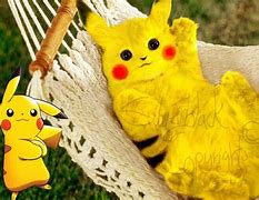 Image result for Real Life Pikachu