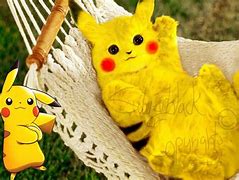 Image result for Real Life Pikachu