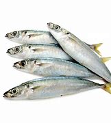 Image result for Galunggong Fish