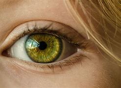 Image result for 10 Green Eyes