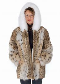 Image result for Lynx Fur