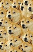 Image result for Doge Meme Wallpaper