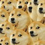 Image result for 545X127px Doge Sign