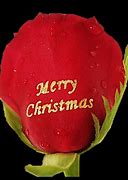 Image result for Red Roses Merry Christmas