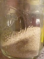 Image result for Homemade Yeast