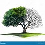 Image result for Dry and Green Tree