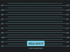 Image result for Mugshot Wall Art