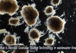 Image result for Aerobic Granular Sludge Process