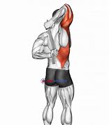 Image result for Shoulder Stretch Behind Back