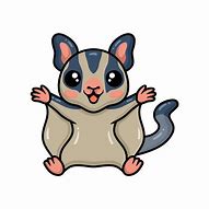 Image result for Adorable Sugar Glider