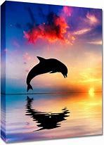 Image result for Azic Dolphin Art