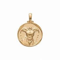 Image result for Capricorn Necklace