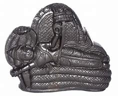 Image result for Salagrama Vishnu Idol