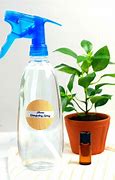 Image result for Disinfecting Cleaning Spray