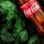 Image result for Coca-Cola Collection