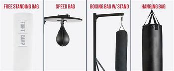 Image result for Cat Punching Bag