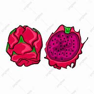 Image result for Buah Naga Merah Anima Si