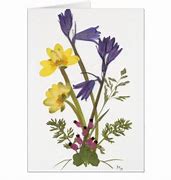 Image result for Pressed Flower Cards