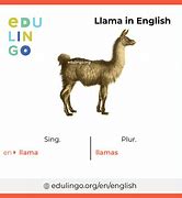 Image result for Say Llama