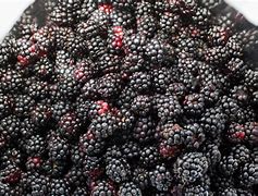 Image result for BlackBerry and Blueberry Pie