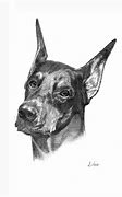 Image result for Doberman Line Drawing