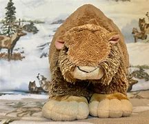 Image result for Glyptodon Plush Toy