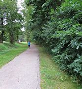 Image result for Beach Path Bright