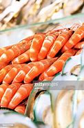 Image result for Shrimp Antennae