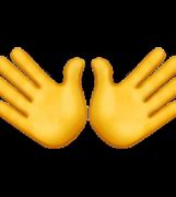 Image result for Two Hands Emoji