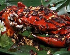 Image result for Kepiting Cancer