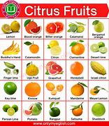 Image result for Name All Citrus Fruits