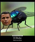 Image result for El Bicho