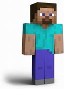 Image result for Steve Mniecraft