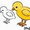 Image result for Pencil Bird Drawings Simple