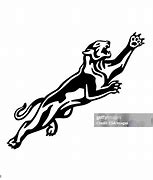 Image result for Leaping Panther