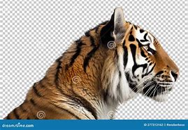 Image result for Tiger Logo Full Side View