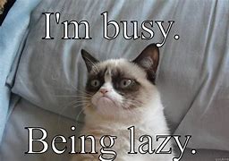 Image result for Funny Lazy Pics