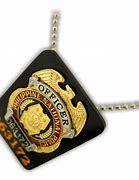 Image result for PNP DEG Badge