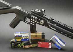 Image result for Semi Auto 22LR