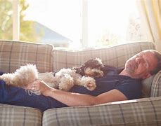 Image result for Lazy Guy On Couch