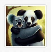 Image result for Panda vs Koala