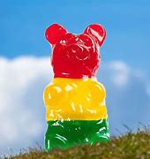 Image result for Largest Gummy Bear