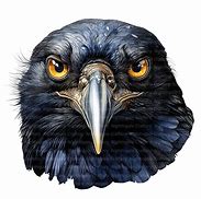 Image result for Crow Raven Clip Art