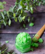 Image result for Aloe Vera Lip Scrub