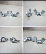 Image result for Wing Nuts and Bolts